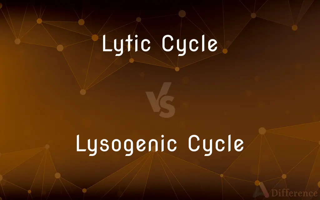 Lytic Cycle vs. Lysogenic Cycle — What's the Difference?