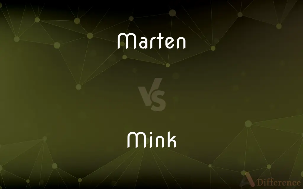 Marten vs. Mink — What's the Difference?