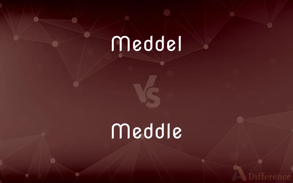 Meddel vs. Meddle — Which is Correct Spelling?
