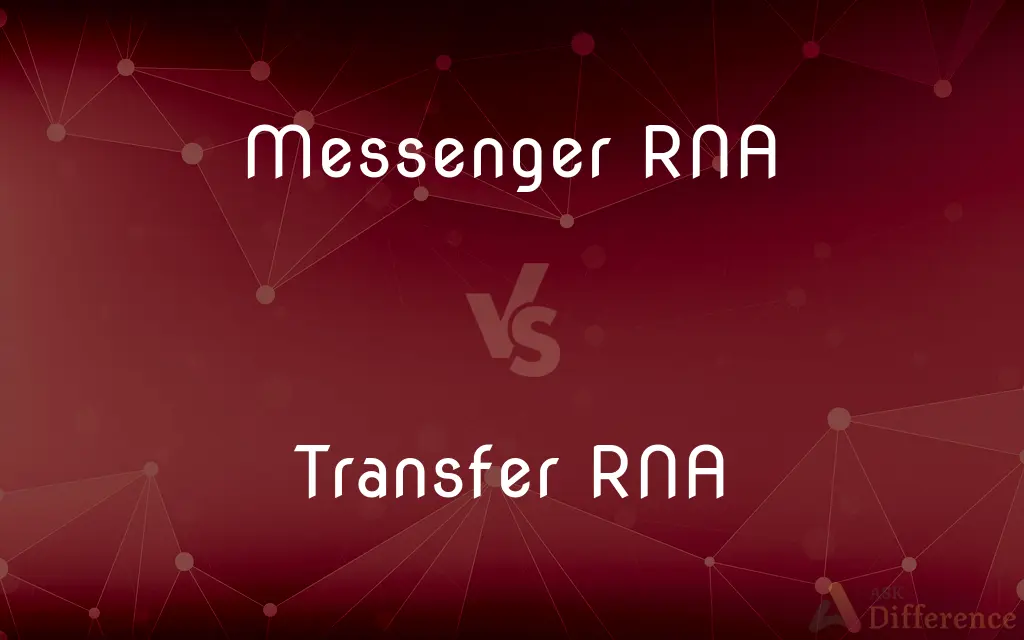Messenger RNA vs. Transfer RNA — What's the Difference?