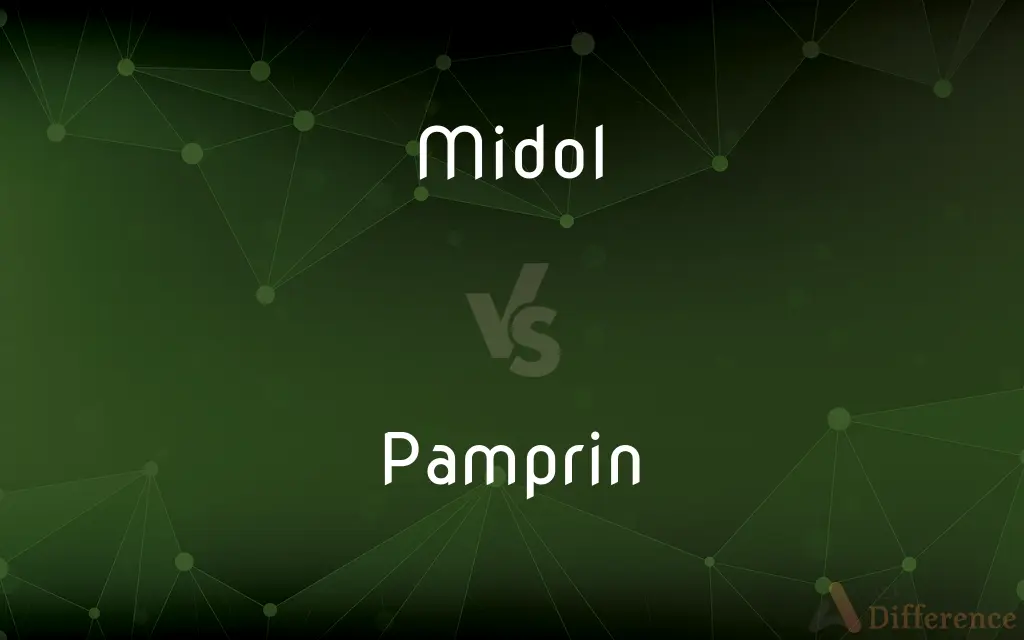 Midol vs. Pamprin — What's the Difference?