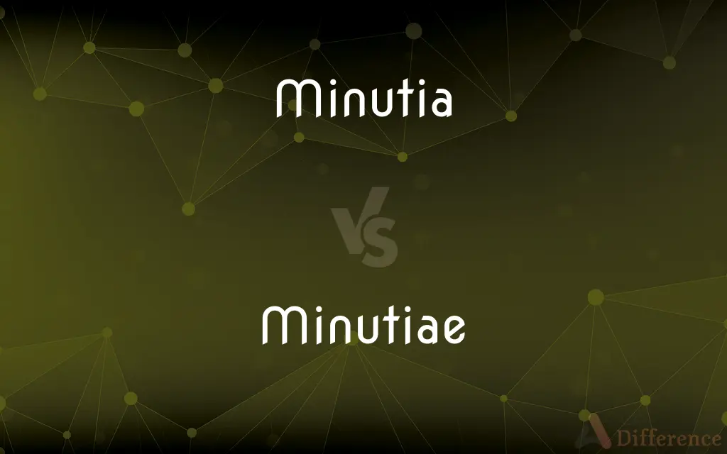 Minutia vs. Minutiae — What's the Difference?