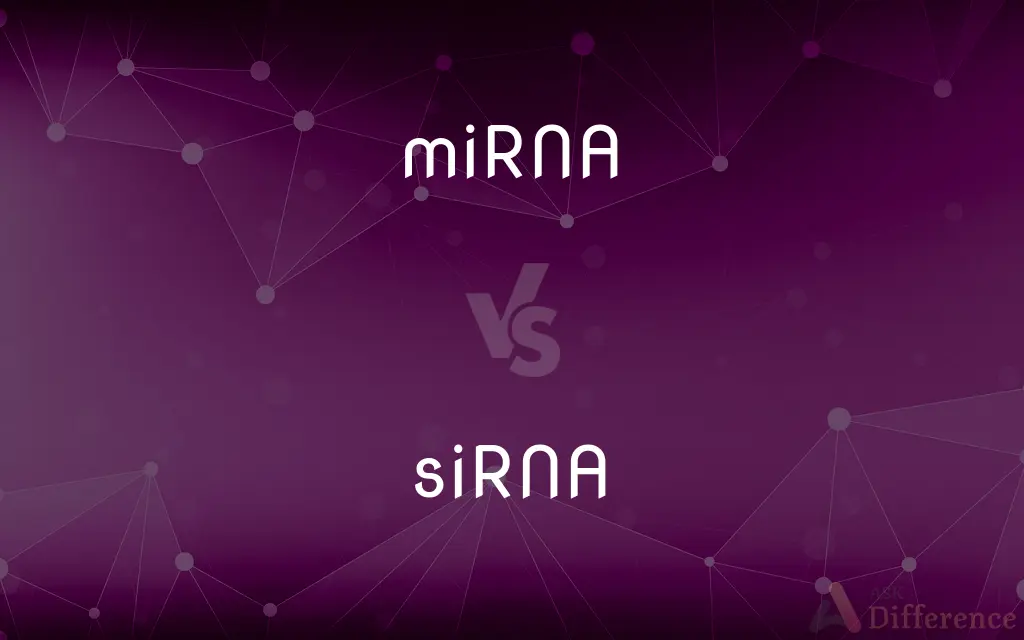 miRNA vs. siRNA — What's the Difference?