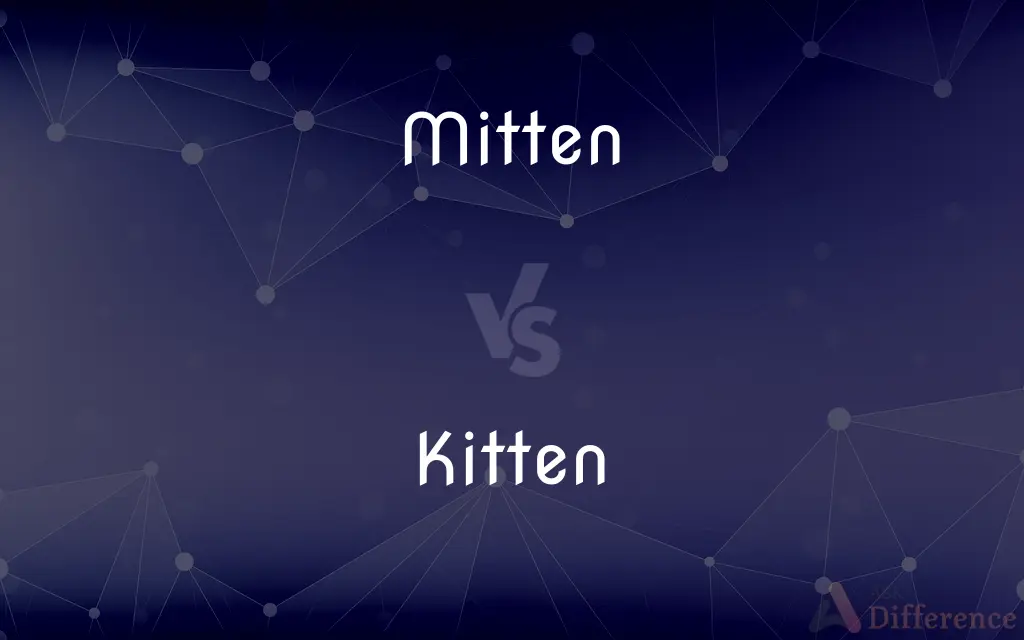 Mitten vs. Kitten — What's the Difference?