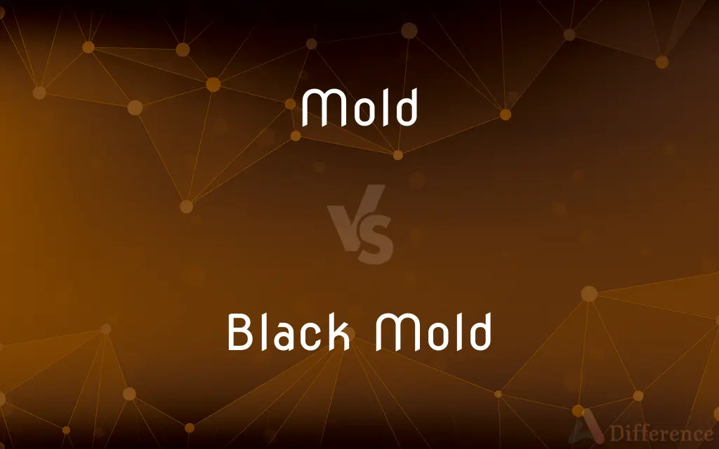 Mold vs. Black Mold — What's the Difference?