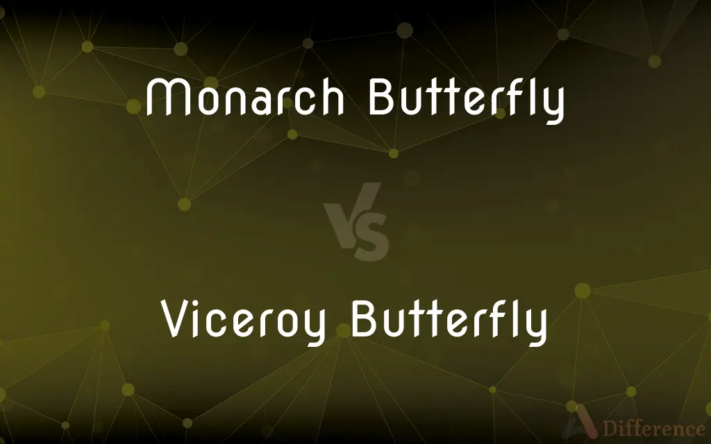 Monarch Butterfly vs. Viceroy Butterfly — What's the Difference?