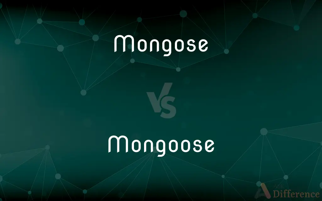 Mongose vs. Mongoose — Which is Correct Spelling?
