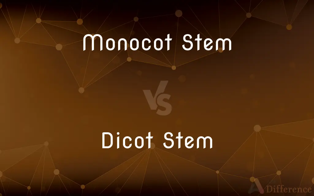 Monocot Stem vs. Dicot Stem — What's the Difference?