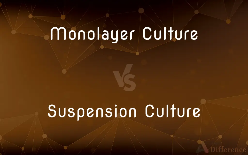 Monolayer Culture vs. Suspension Culture — What's the Difference?