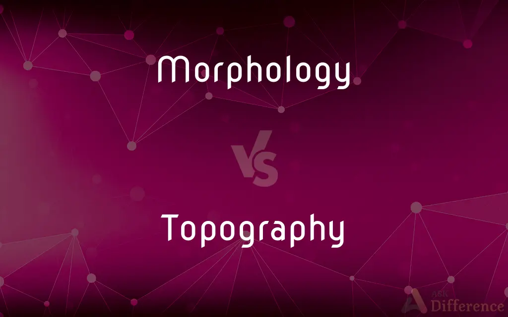 Morphology vs. Topography — What's the Difference?