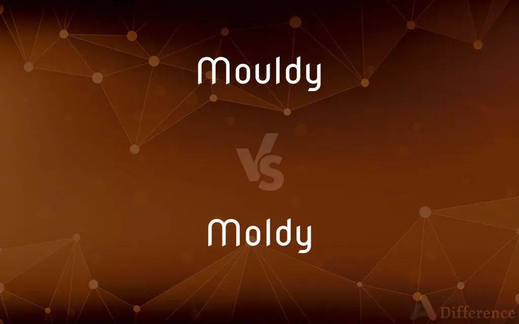 Mouldy vs. Moldy — What's the Difference?