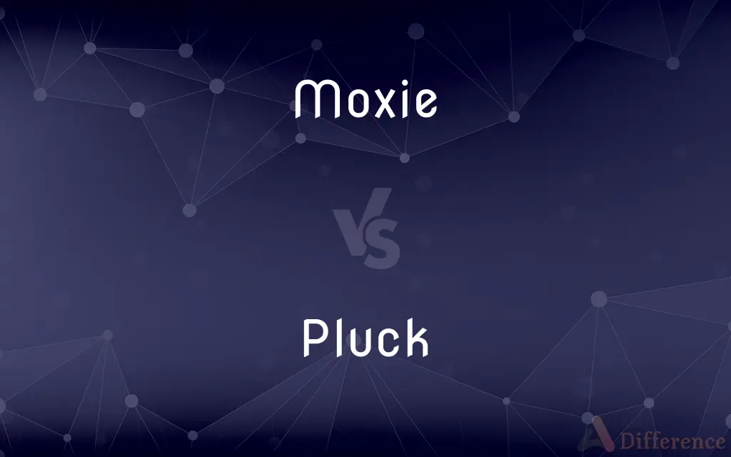 Moxie vs. Pluck — What's the Difference?