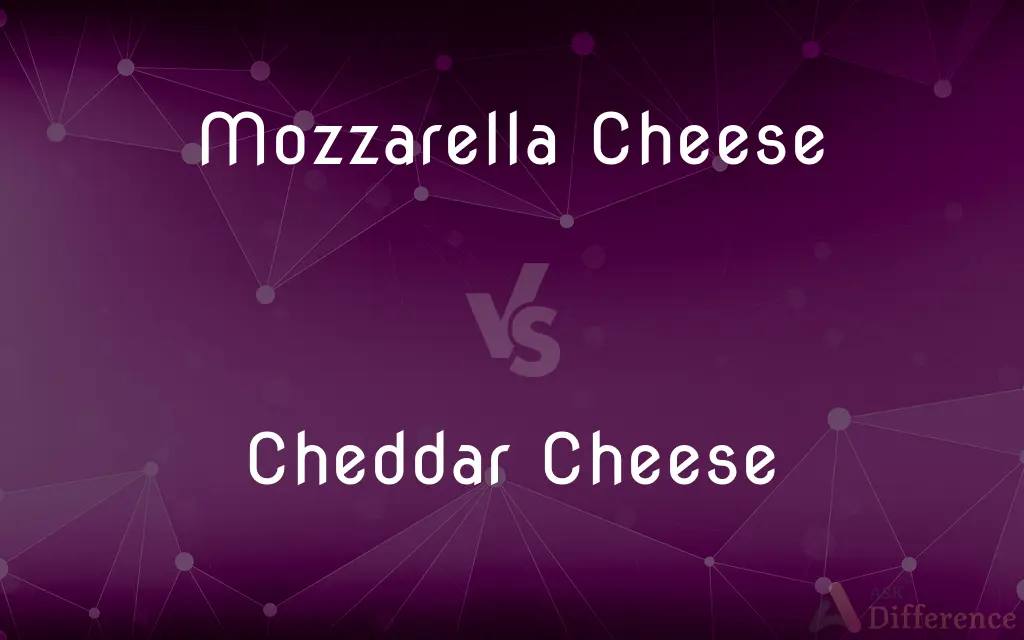 Mozzarella Cheese vs. Cheddar Cheese — What's the Difference?