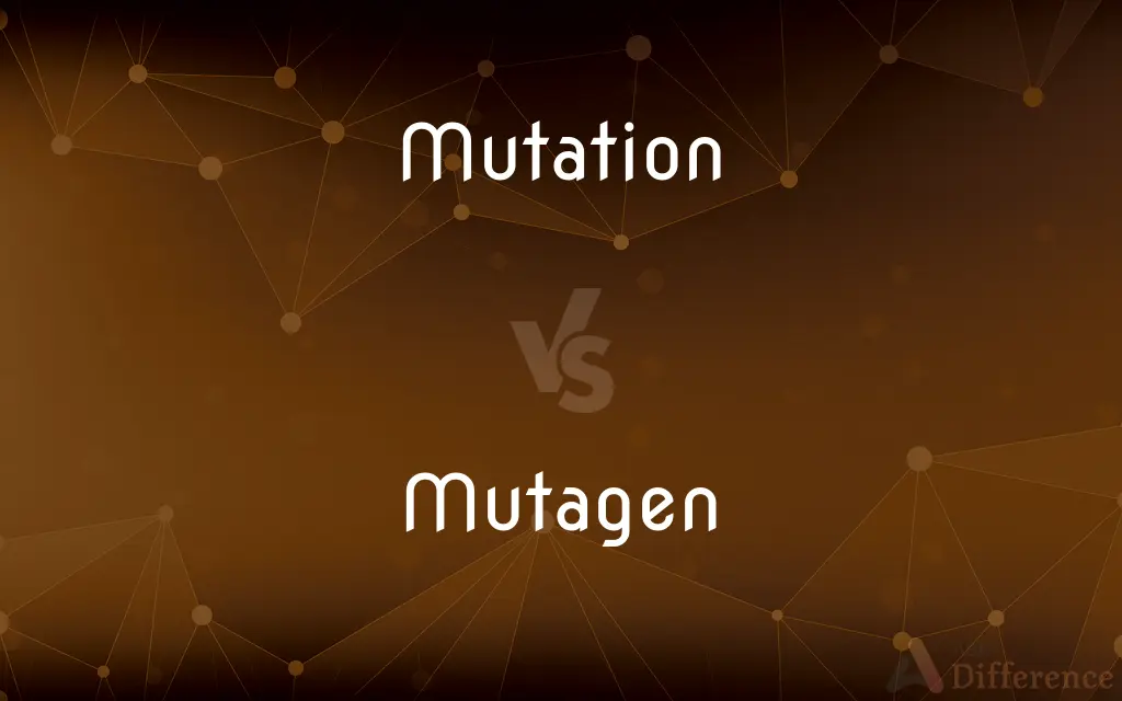 Mutation vs. Mutagen — What's the Difference?