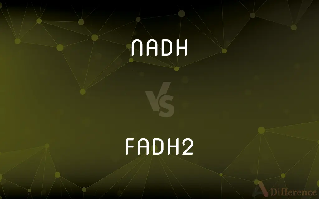 NADH vs. FADH2 — What's the Difference?