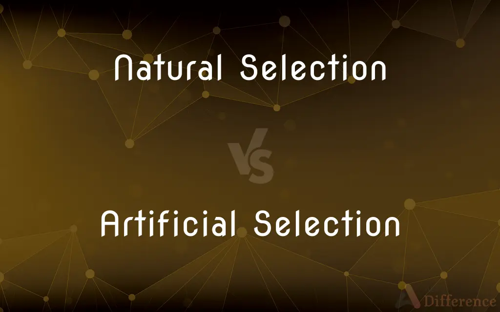 Natural Selection vs. Artificial Selection — What's the Difference?