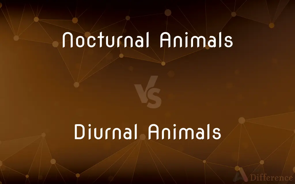 Nocturnal Animals vs. Diurnal Animals — What's the Difference?