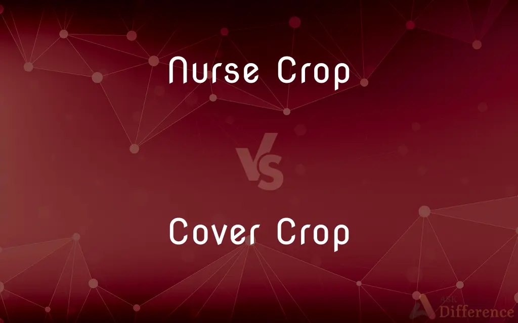 Nurse Crop vs. Cover Crop — What's the Difference?