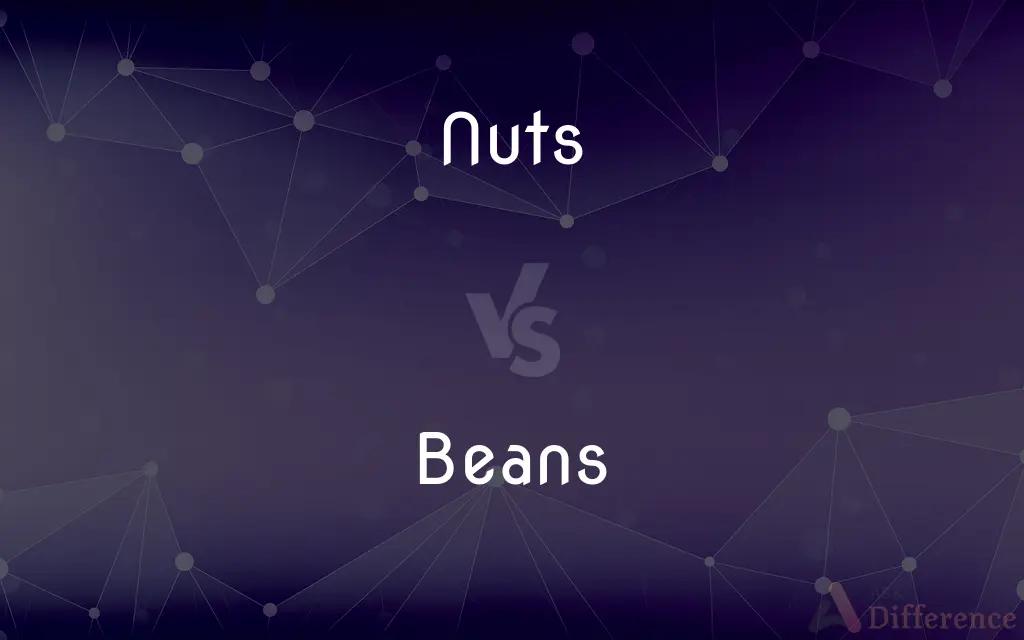 Nuts vs. Beans — What's the Difference?