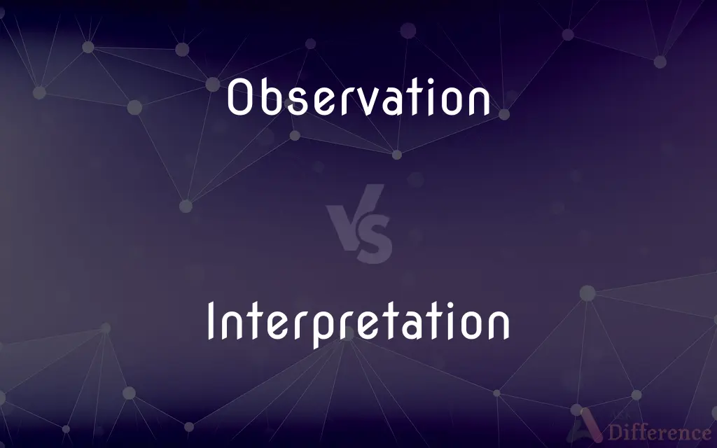 Observation vs. Interpretation — What's the Difference?