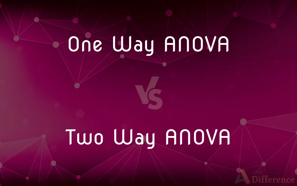 One Way ANOVA vs. Two Way ANOVA — What's the Difference?