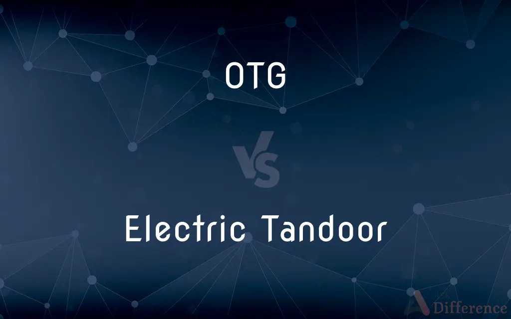 OTG vs. Electric Tandoor — What's the Difference?