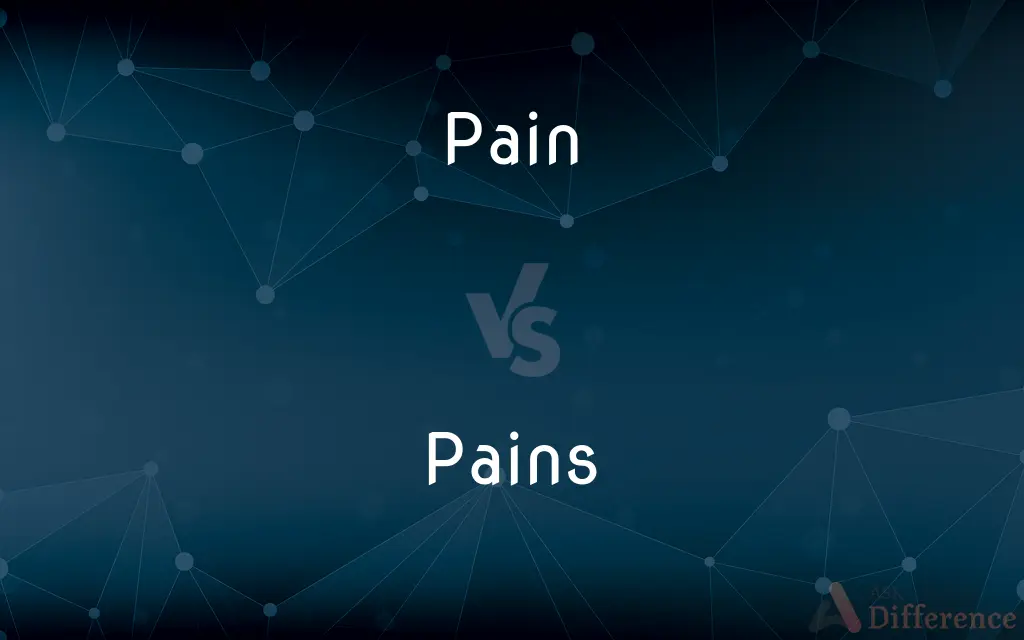 Pain vs. Pains — What's the Difference?