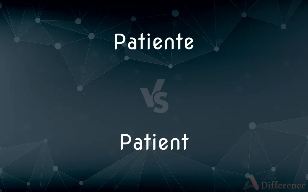 Patiente vs. Patient — Which is Correct Spelling?