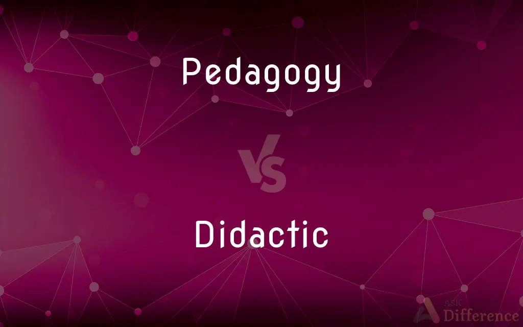 Pedagogy vs. Didactic — What's the Difference?
