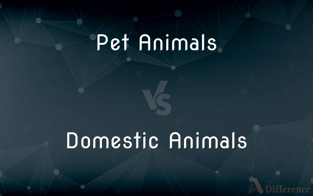 Pet Animals vs. Domestic Animals — What's the Difference?