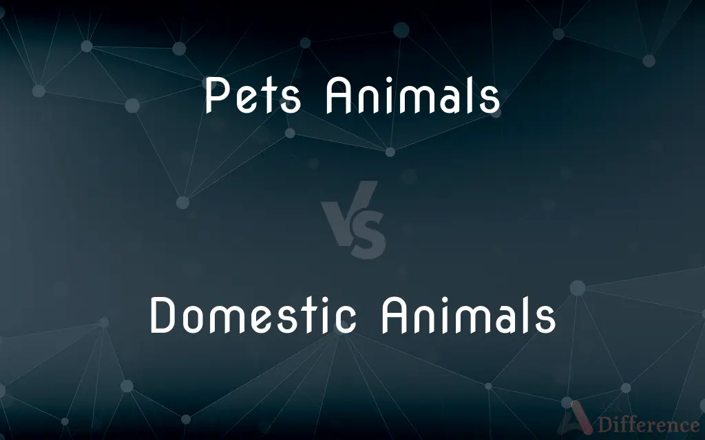 Pets Animals vs. Domestic Animals — What's the Difference?