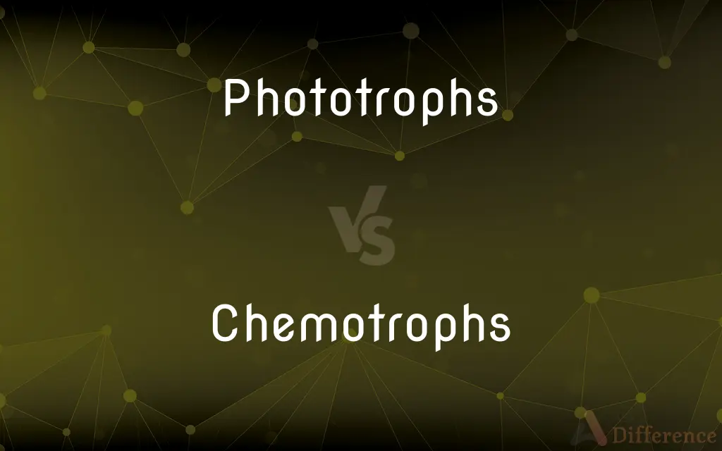 Phototrophs vs. Chemotrophs — What’s the Difference?