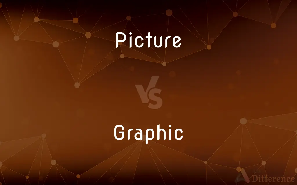 Picture vs. Graphic — What's the Difference?