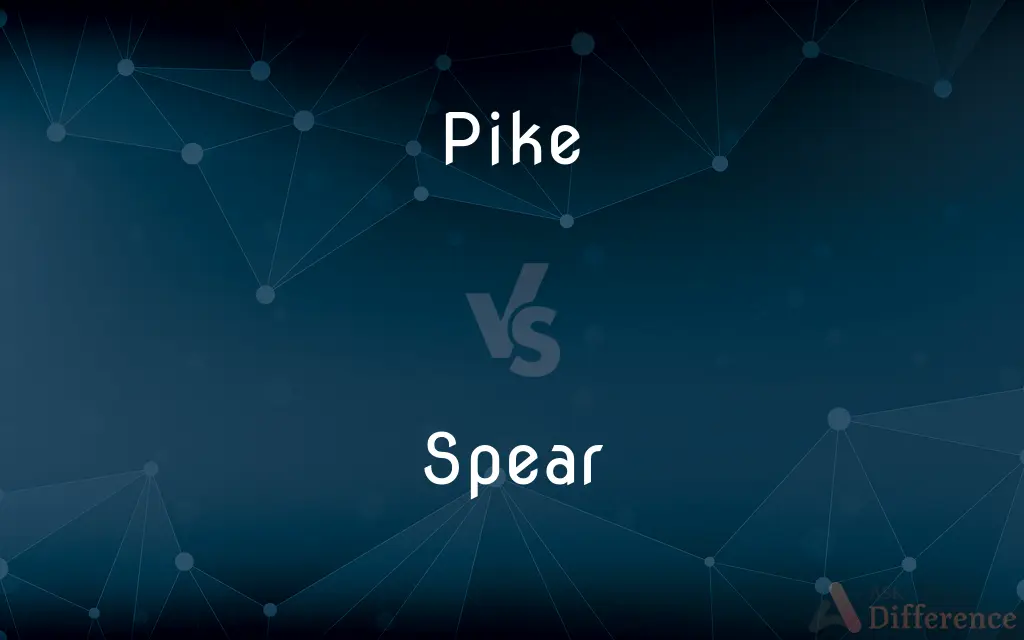 Pike vs. Spear — What's the Difference?