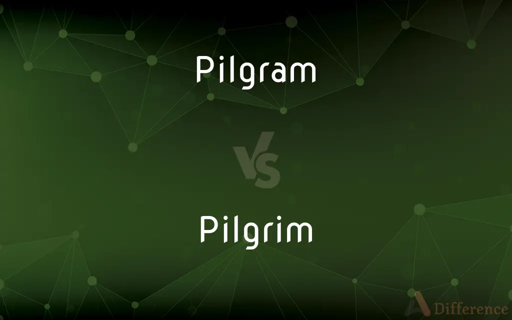 Pilgram vs. Pilgrim — Which is Correct Spelling?