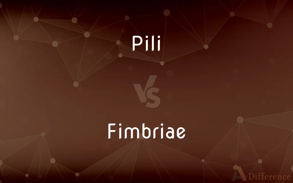 Pili vs. Fimbriae — What's the Difference?