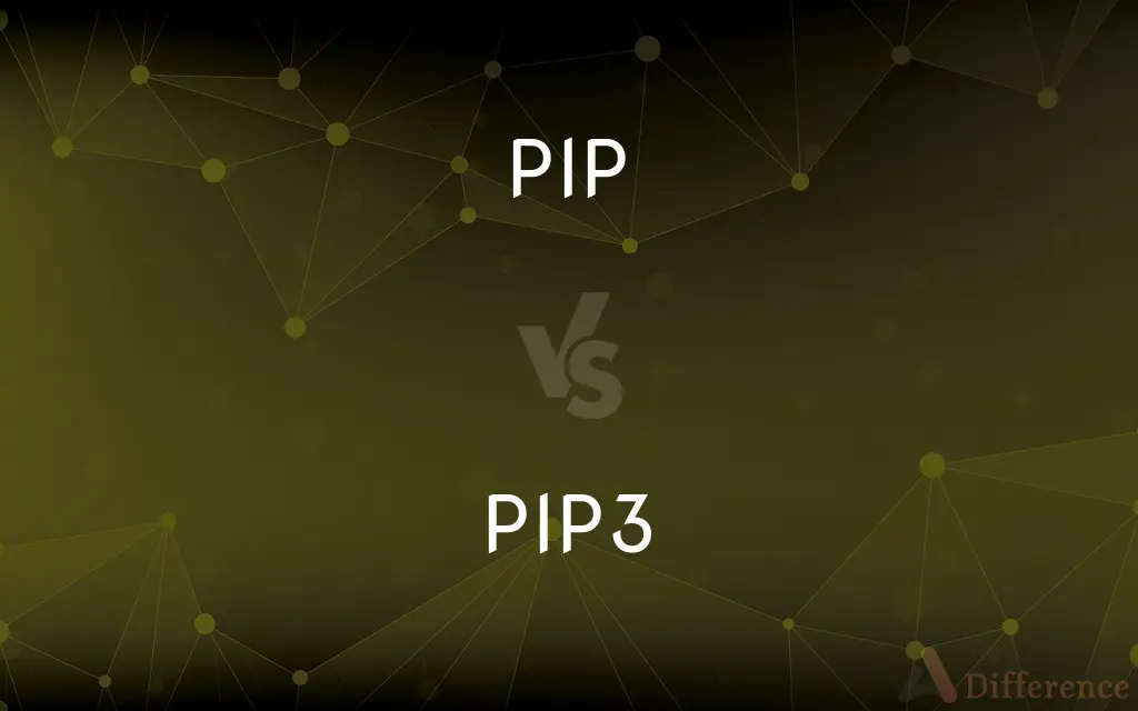 PIP vs. PIP3 — What's the Difference?