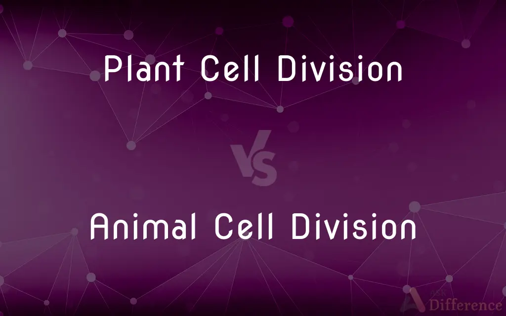 Plant Cell Division vs. Animal Cell Division — What's the Difference?