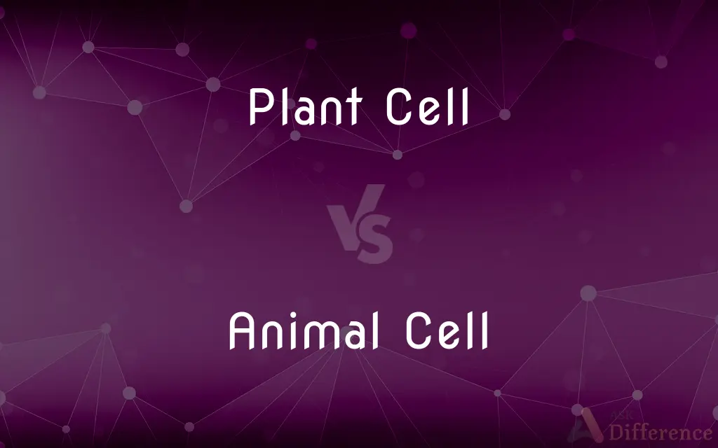 Plant Cell vs. Animal Cell — What's the Difference?