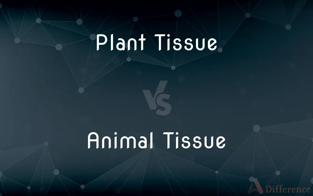 Plant Tissue vs. Animal Tissue — What's the Difference?