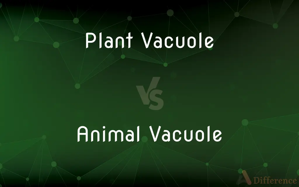 Plant Vacuole vs. Animal Vacuole — What's the Difference?