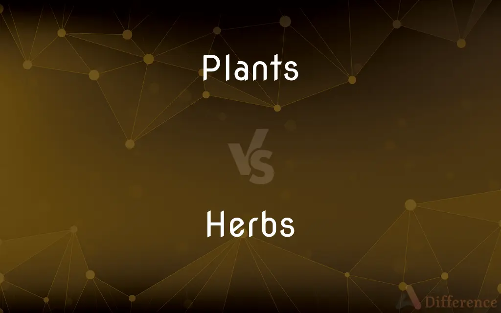 Plants vs. Herbs — What's the Difference?