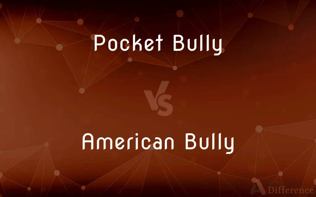 Pocket Bully vs. American Bully — What's the Difference?