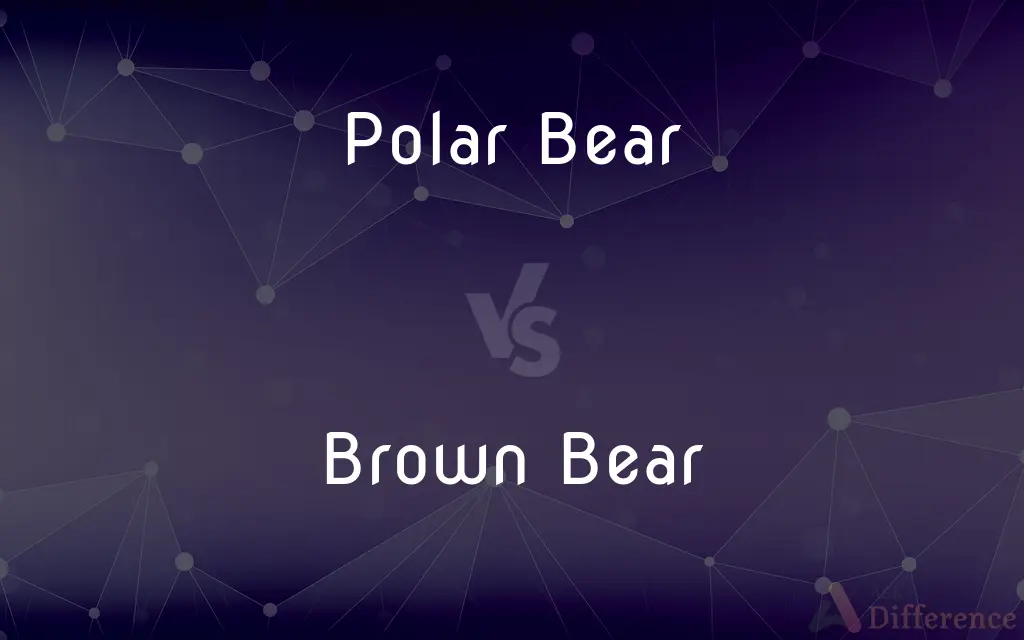 Polar Bear vs. Brown Bear — What's the Difference?