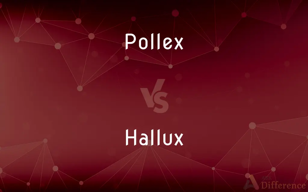 Pollex vs. Hallux — What's the Difference?