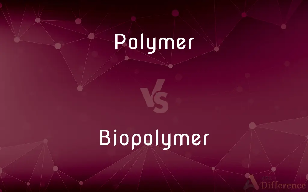 Polymer vs. Biopolymer — What's the Difference?