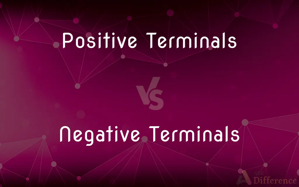 Positive Terminals vs. Negative Terminals — What's the Difference?