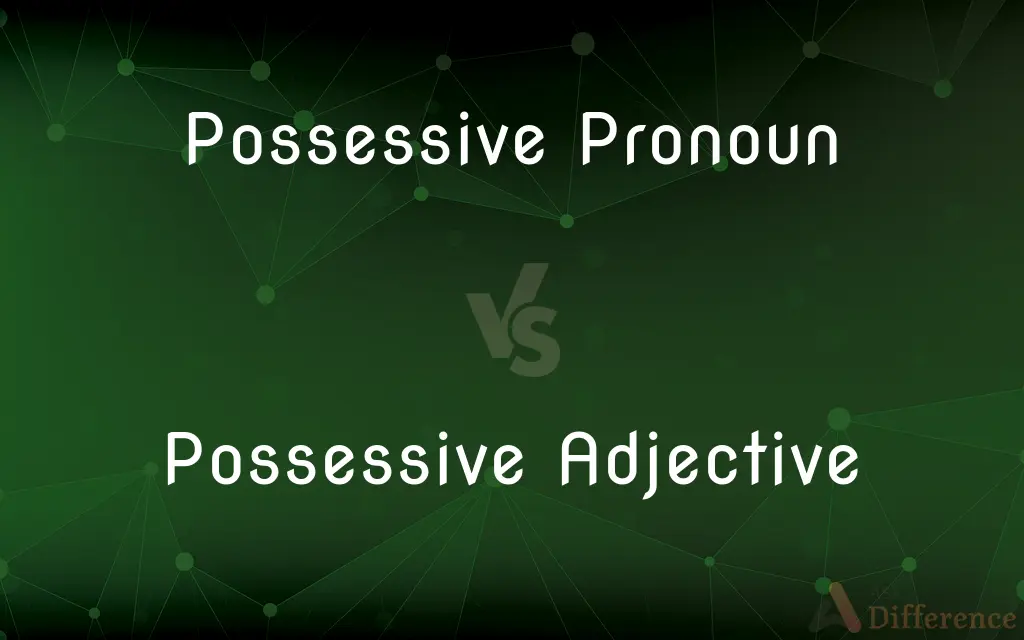 Possessive Pronoun vs. Possessive Adjective — What's the Difference?