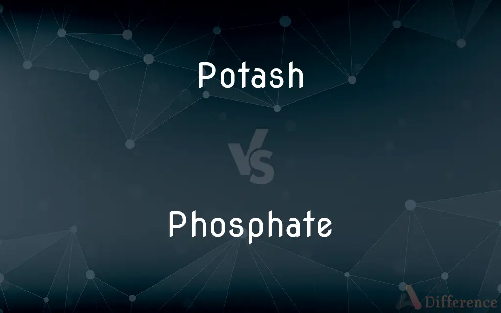 Potash vs. Phosphate — What's the Difference?