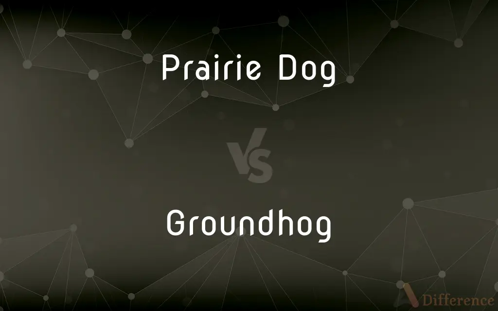 Prairie Dog vs. Groundhog — What’s the Difference?